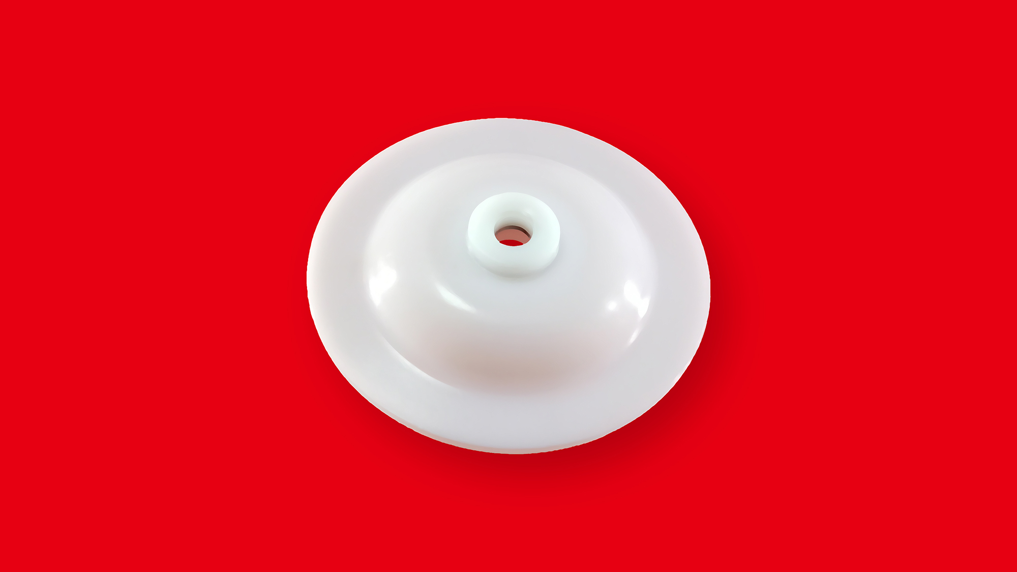 计量泵膜片密封件2 计量泵膜片密封件2