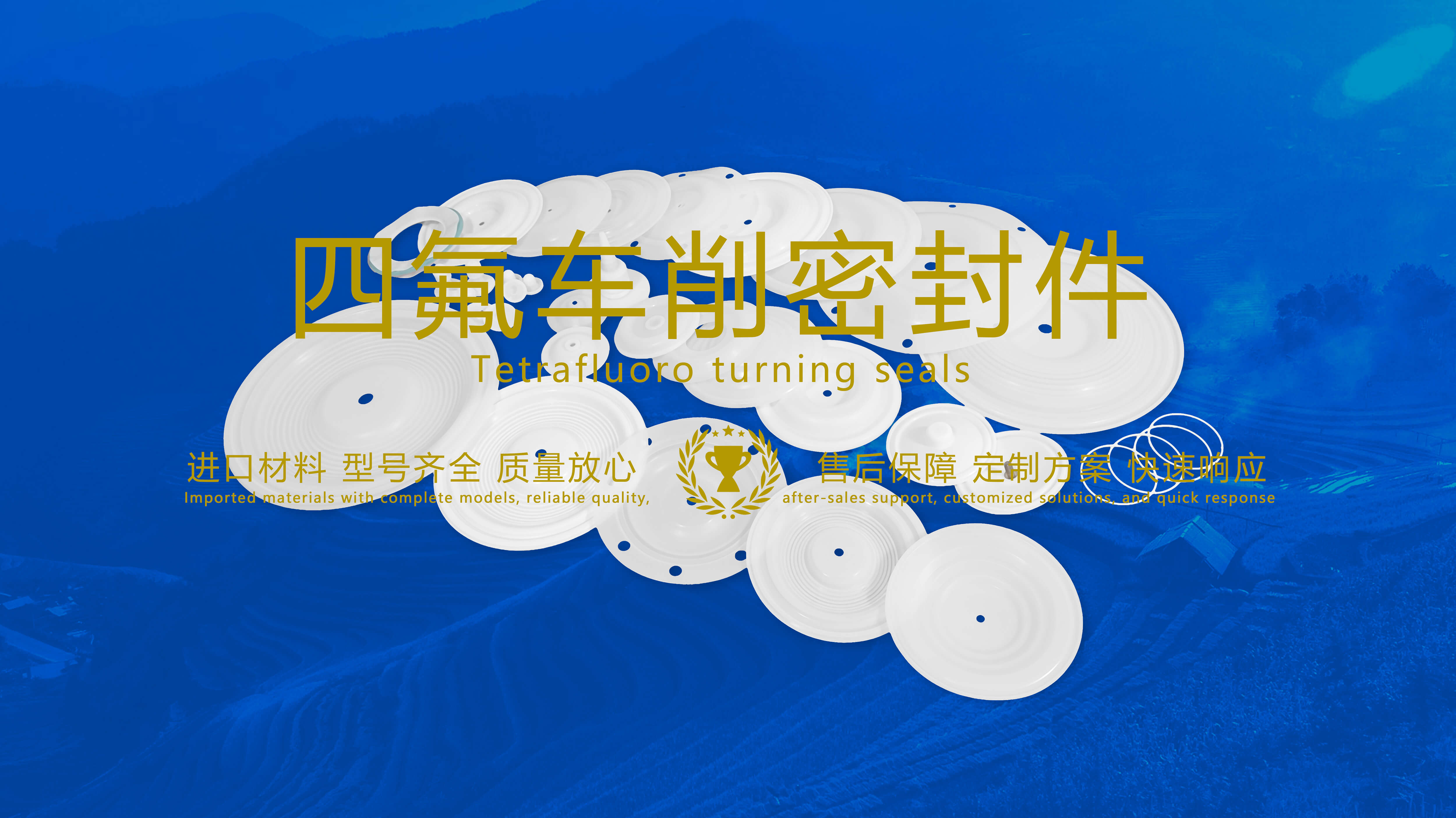 四氟车削密封件密封圈油封膜片配件产品图 四氟车削密封件密封圈油封膜片配件产品图