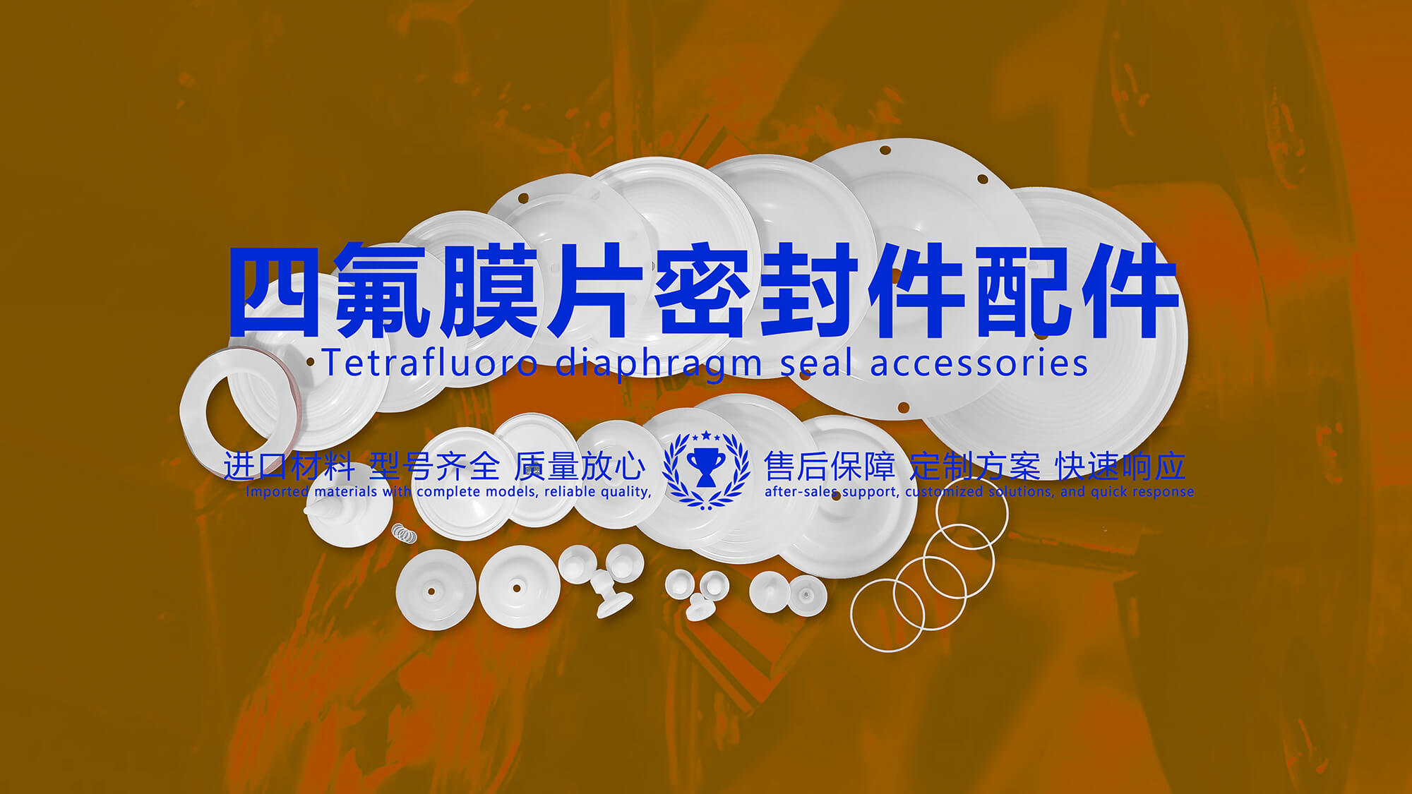 四氟膜片密封件配件 (2) 四氟膜片密封件配件 (2)